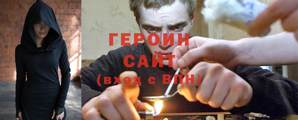 индика Надым