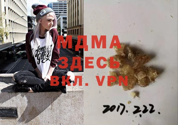 индика Надым