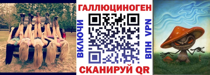 Псилоцибиновые грибы Cubensis  Нолинск 